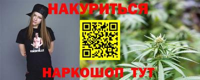 гашик Будённовск