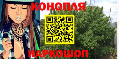 стаф Кингисепп