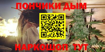 гашик Будённовск