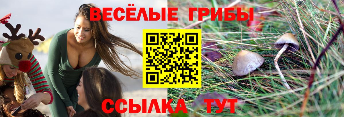 Череповец  Галлюциногенные грибы GOLDEN TEACHER  Вход с VPN 