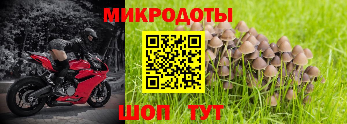 Галлюциногенные грибы Cubensis Череповец